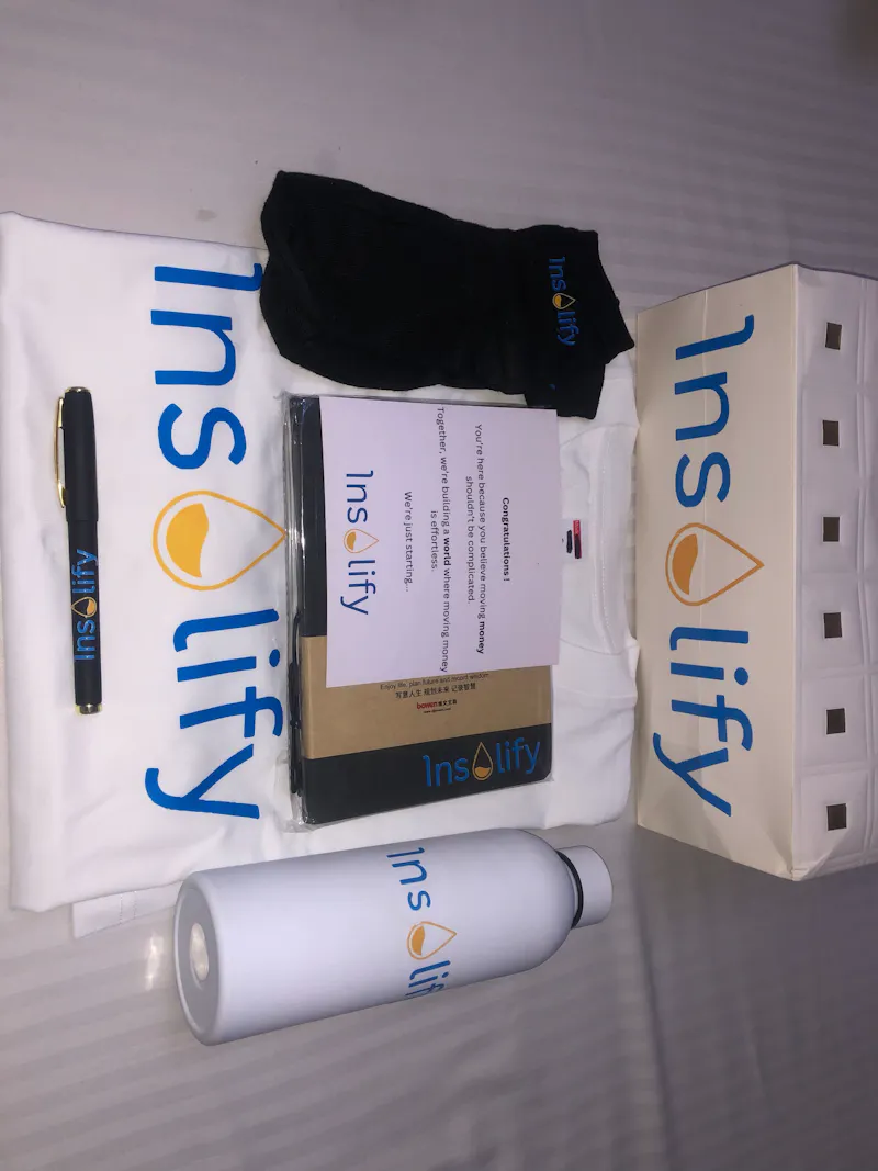 Insolify screenshot 2