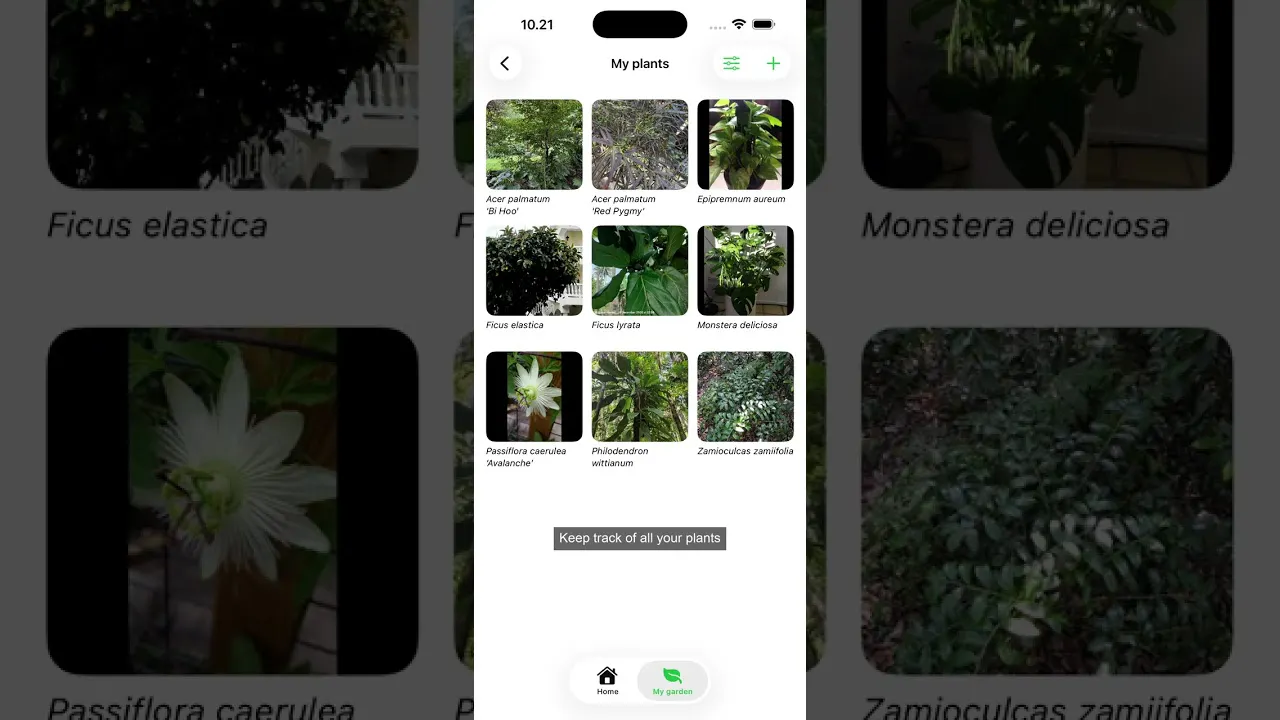 PlantGeekz - Identifier/collection app gallery image