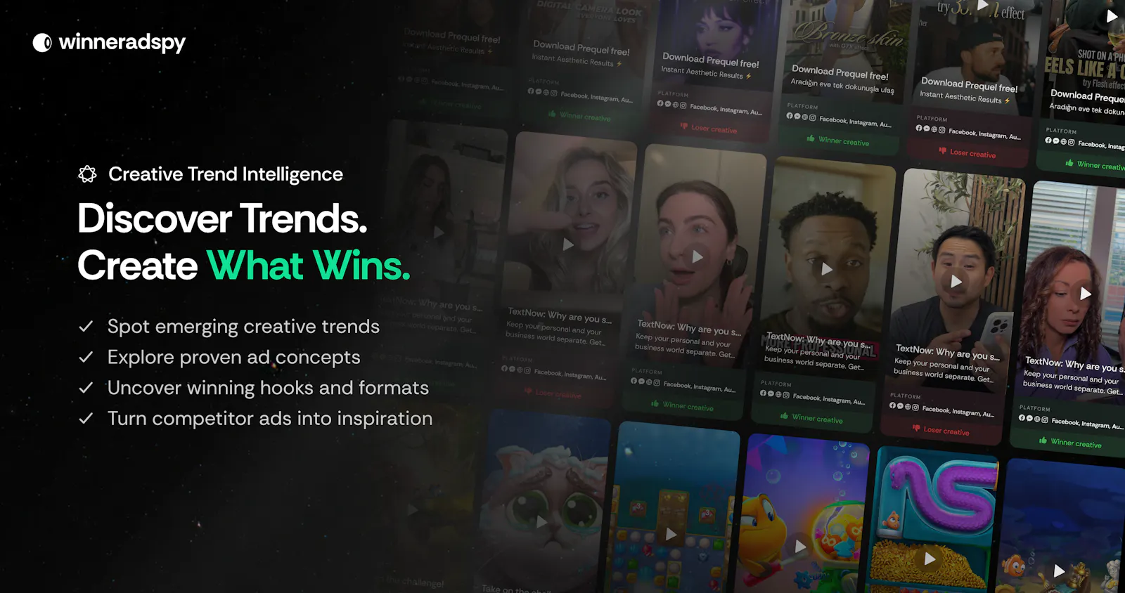 WinnerAdSpy screenshot 2