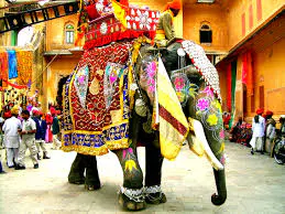 Culturejoy