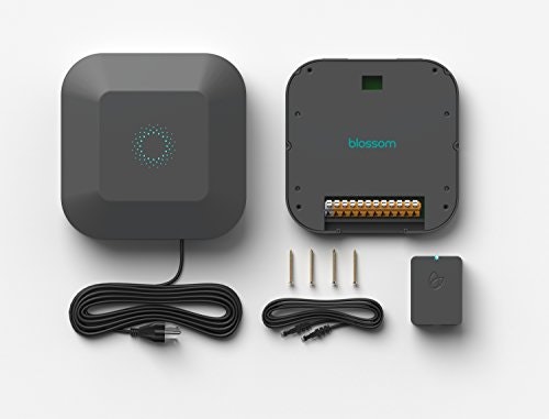 Blossom gallery image