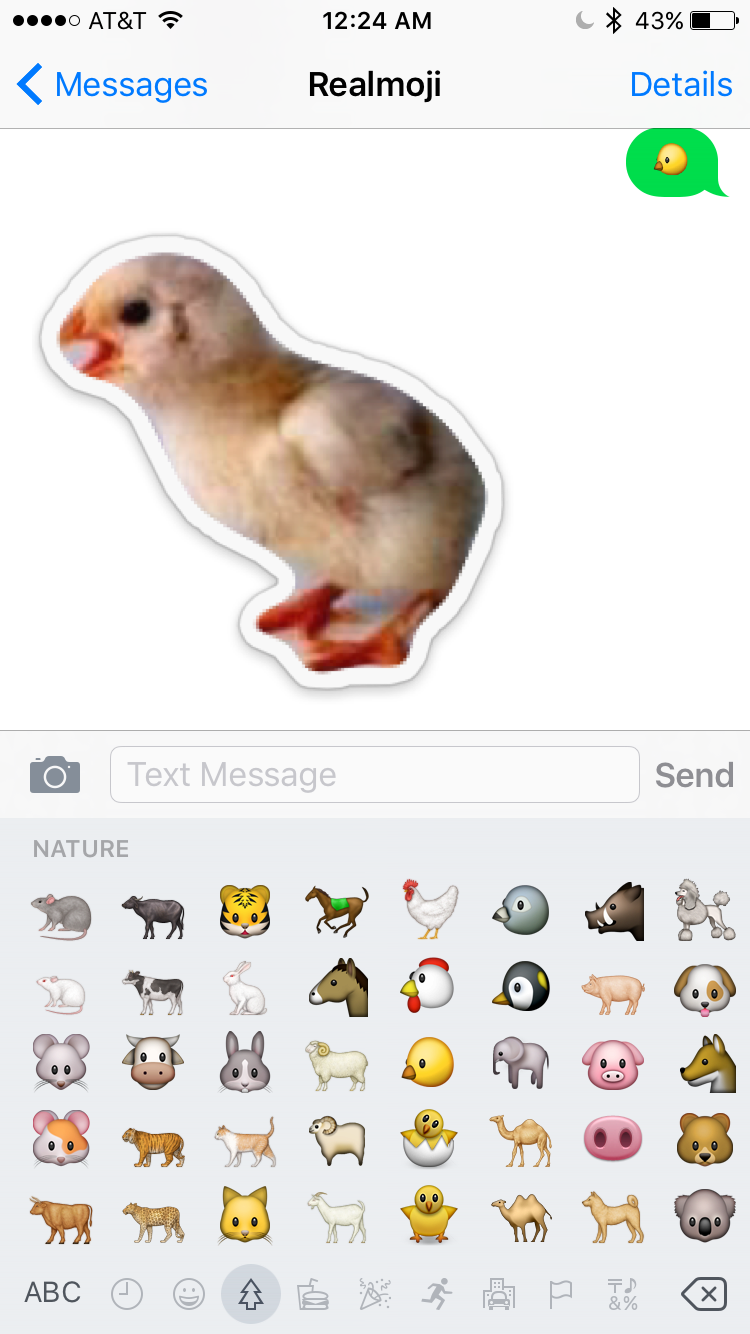 Realmoji Image