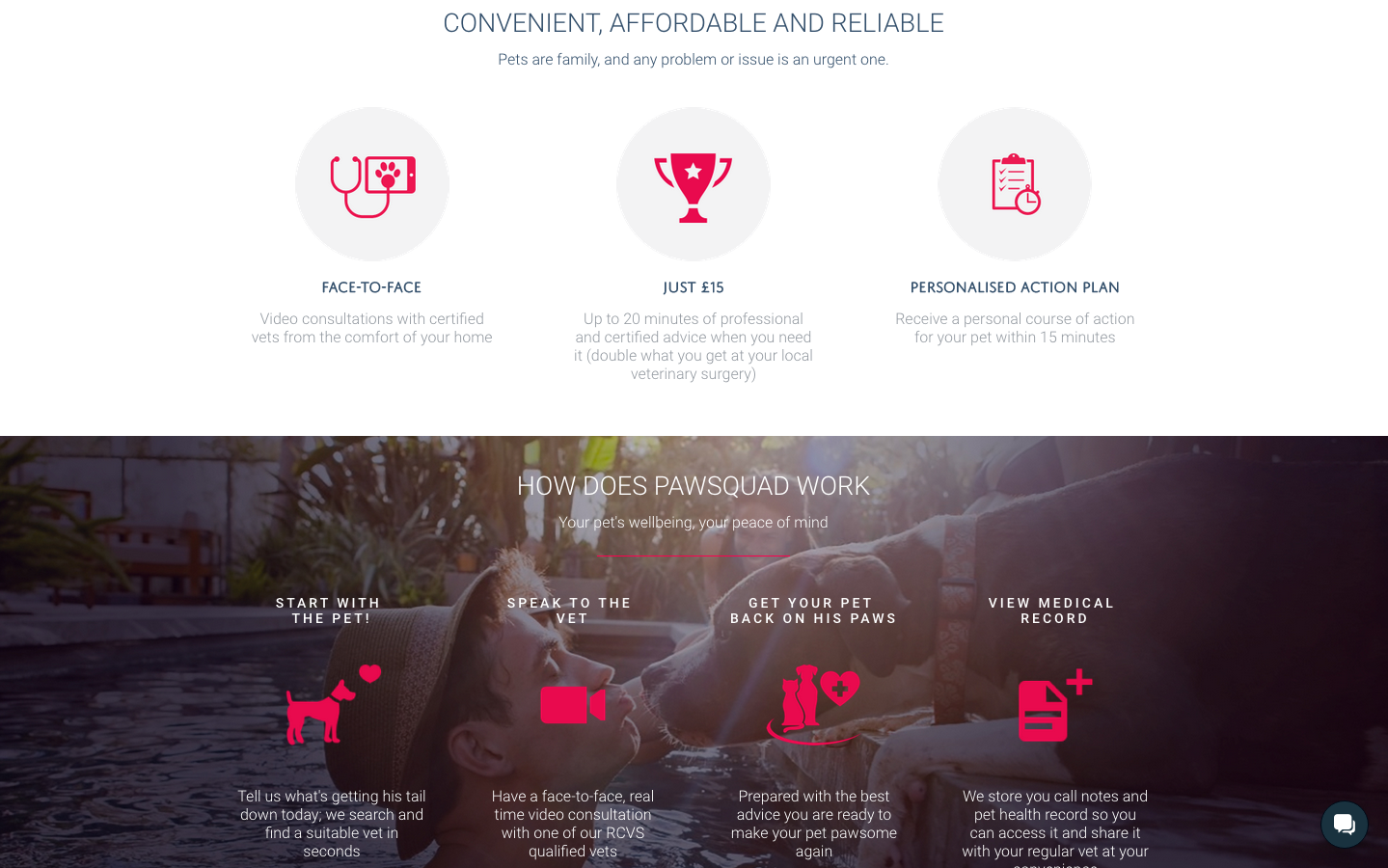 PawSquad gallery image