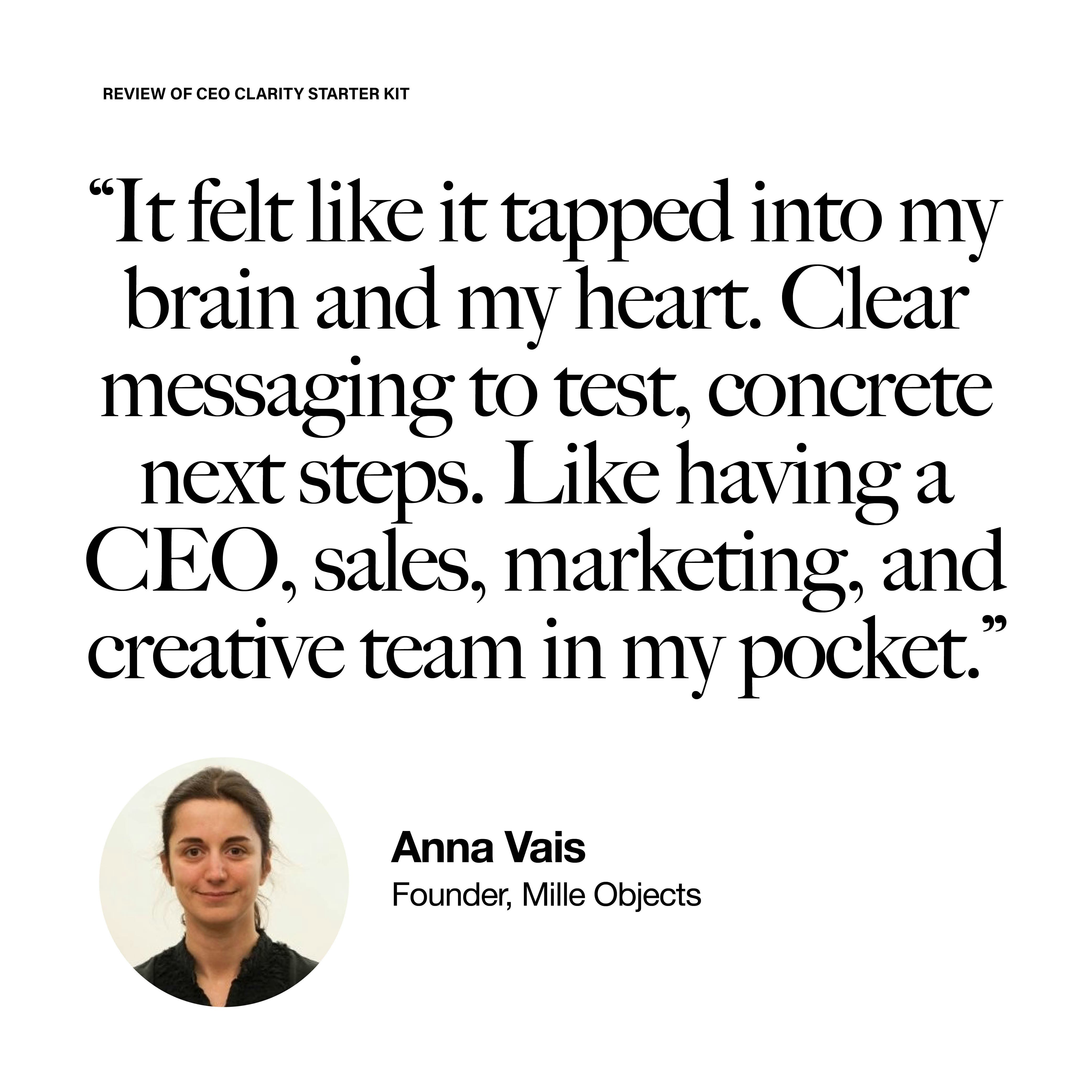 The CEO Clarity Starter Kit - Screenshot 3 preview