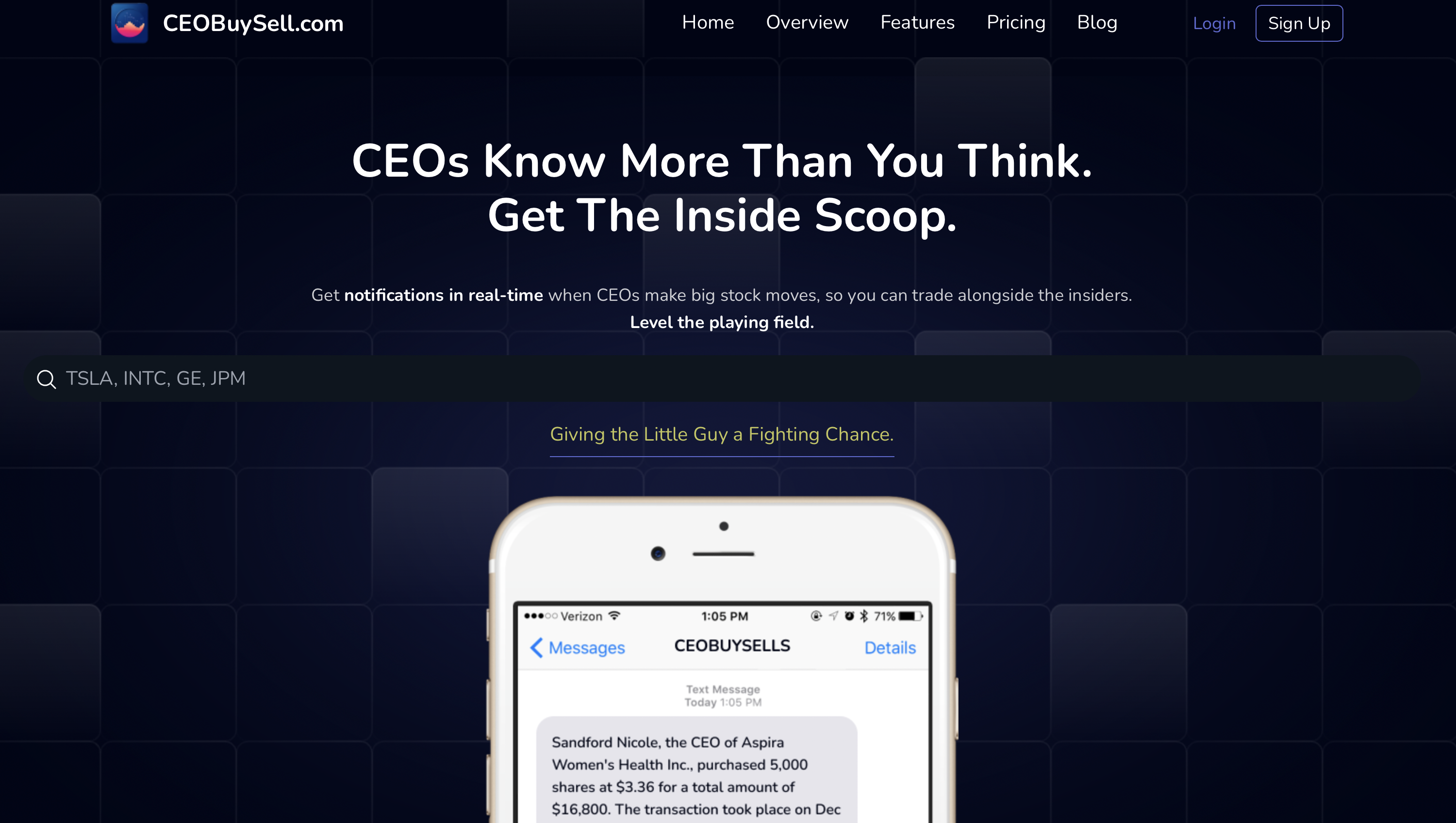 CeoBuySell.com media 1