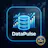DataPulse
