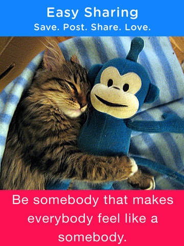 Cats & Quotes gallery image