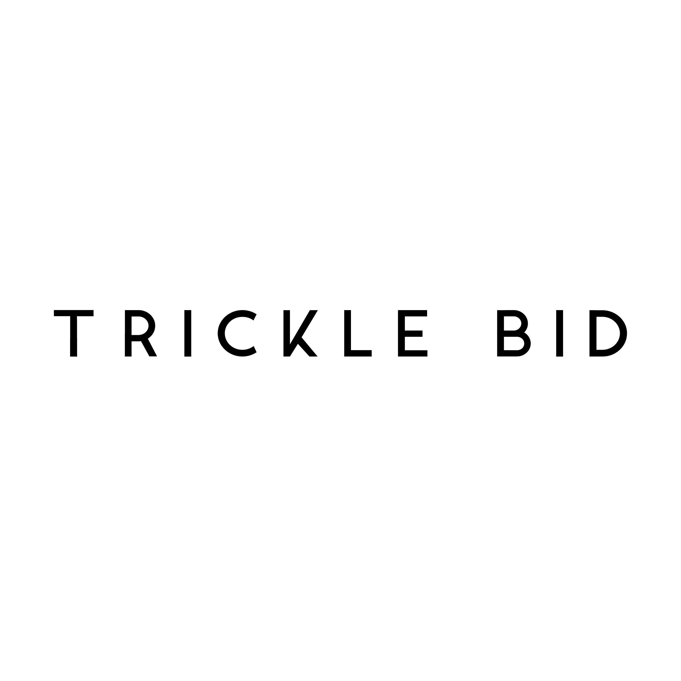 TrickleBid gallery image