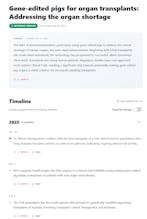 Pingmer gallery image