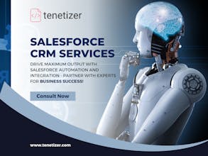 Tenetizer Salesforce Integration Product gallery image