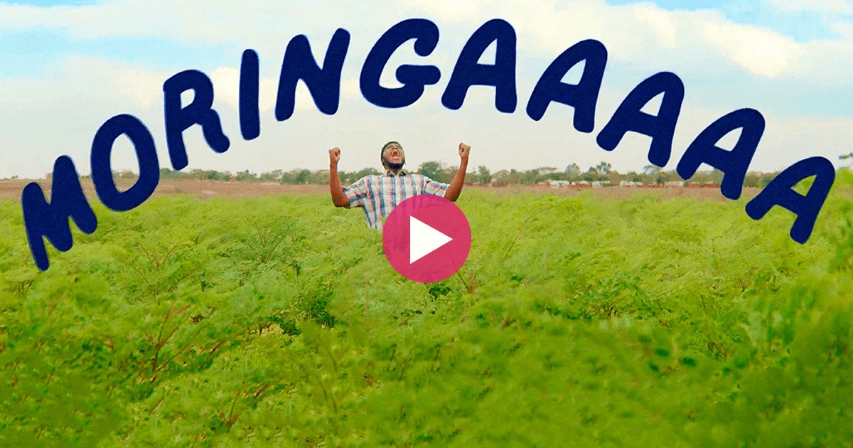 Yamba Moringa gallery image