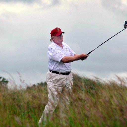 Trump Golf Count