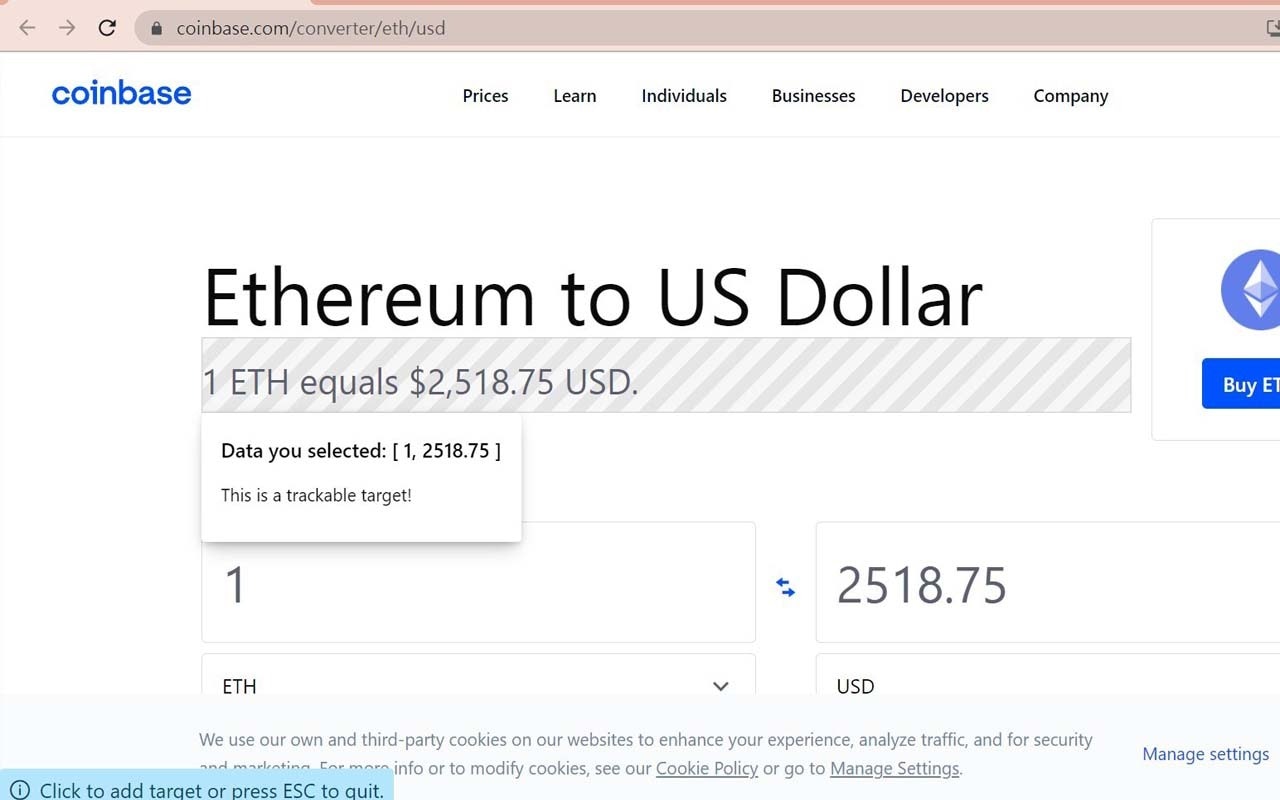 Quokka gallery image