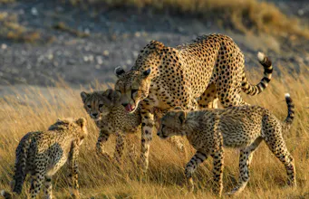 Nature Bound Africa gallery image