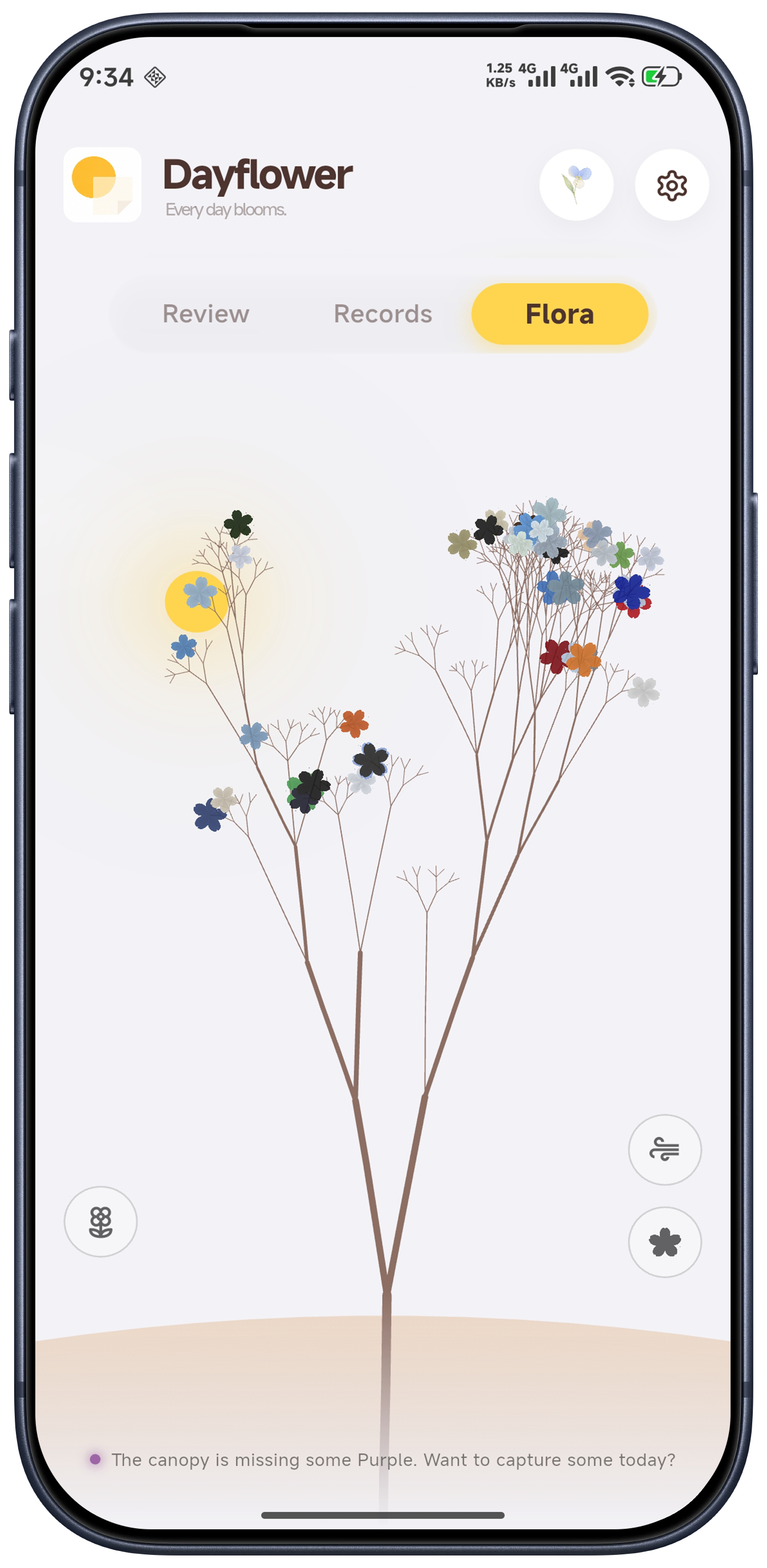 Dayflower gallery image