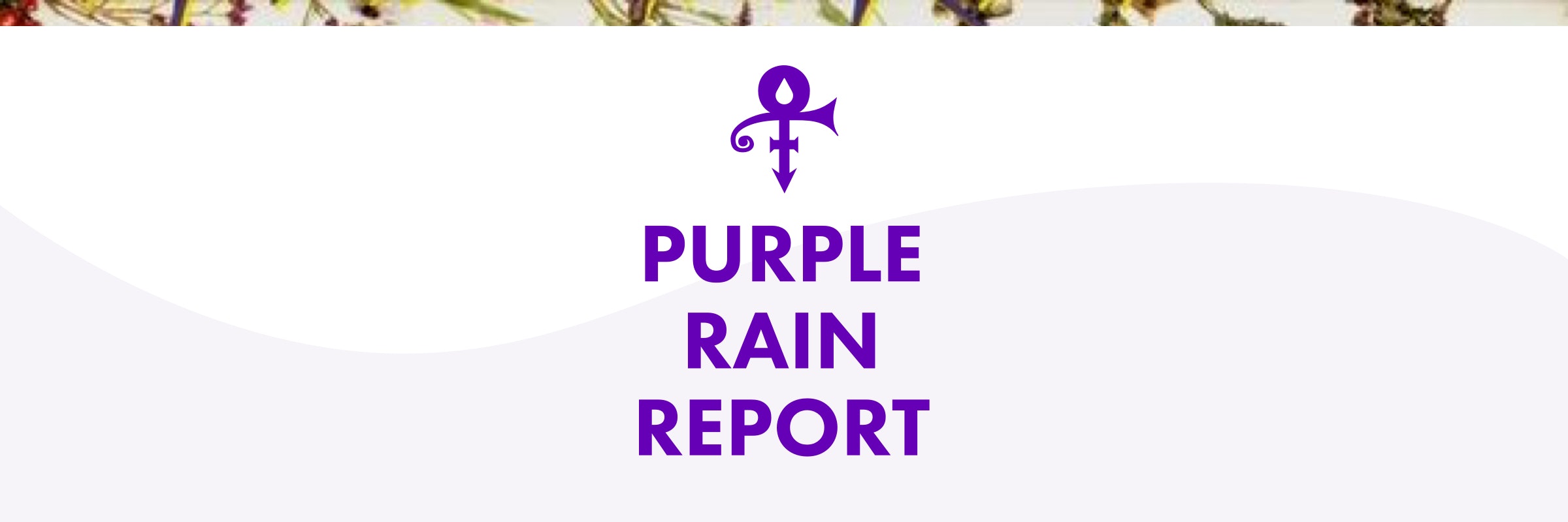 Purple Rain Report gallery image