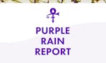 Purple Rain Report image
