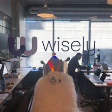 Wisely gallery image