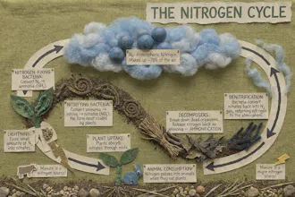 Uni-1 by Luma gallery image