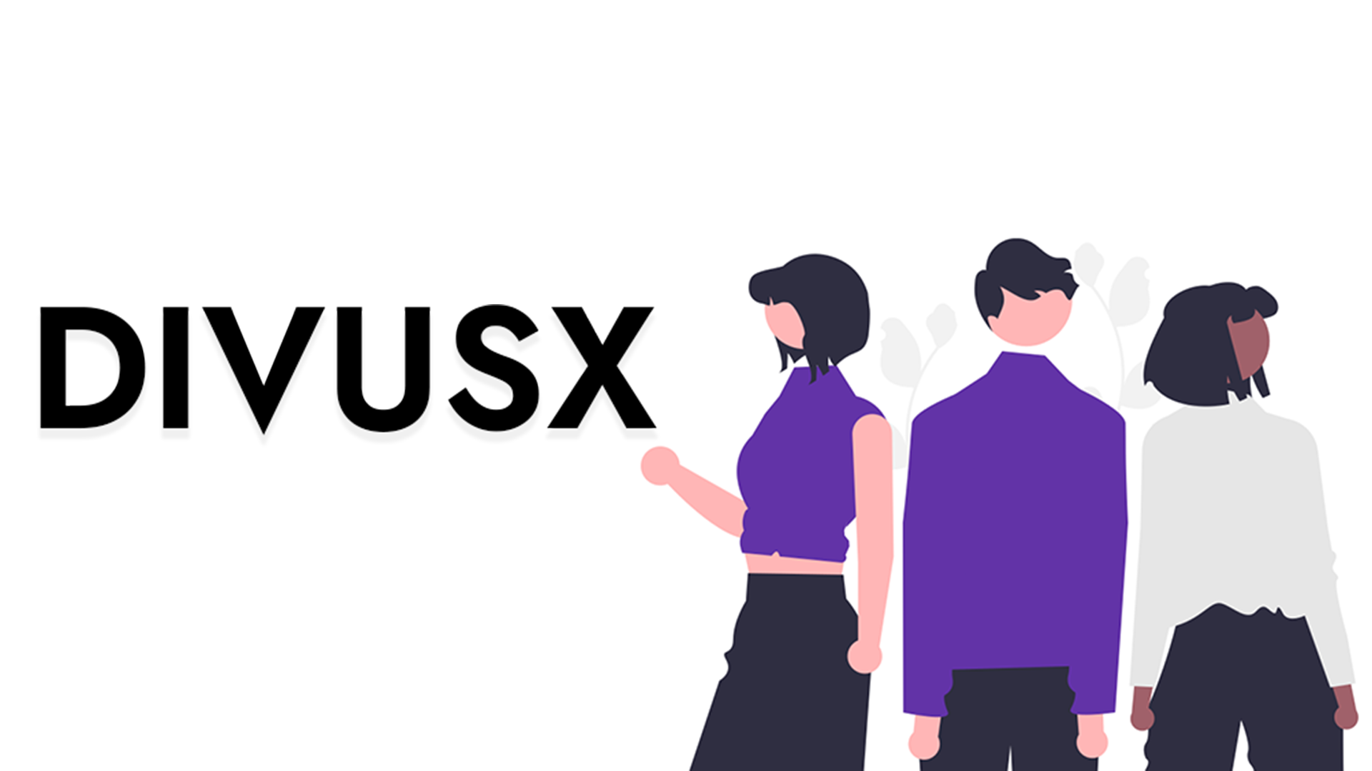 Divusx media 2