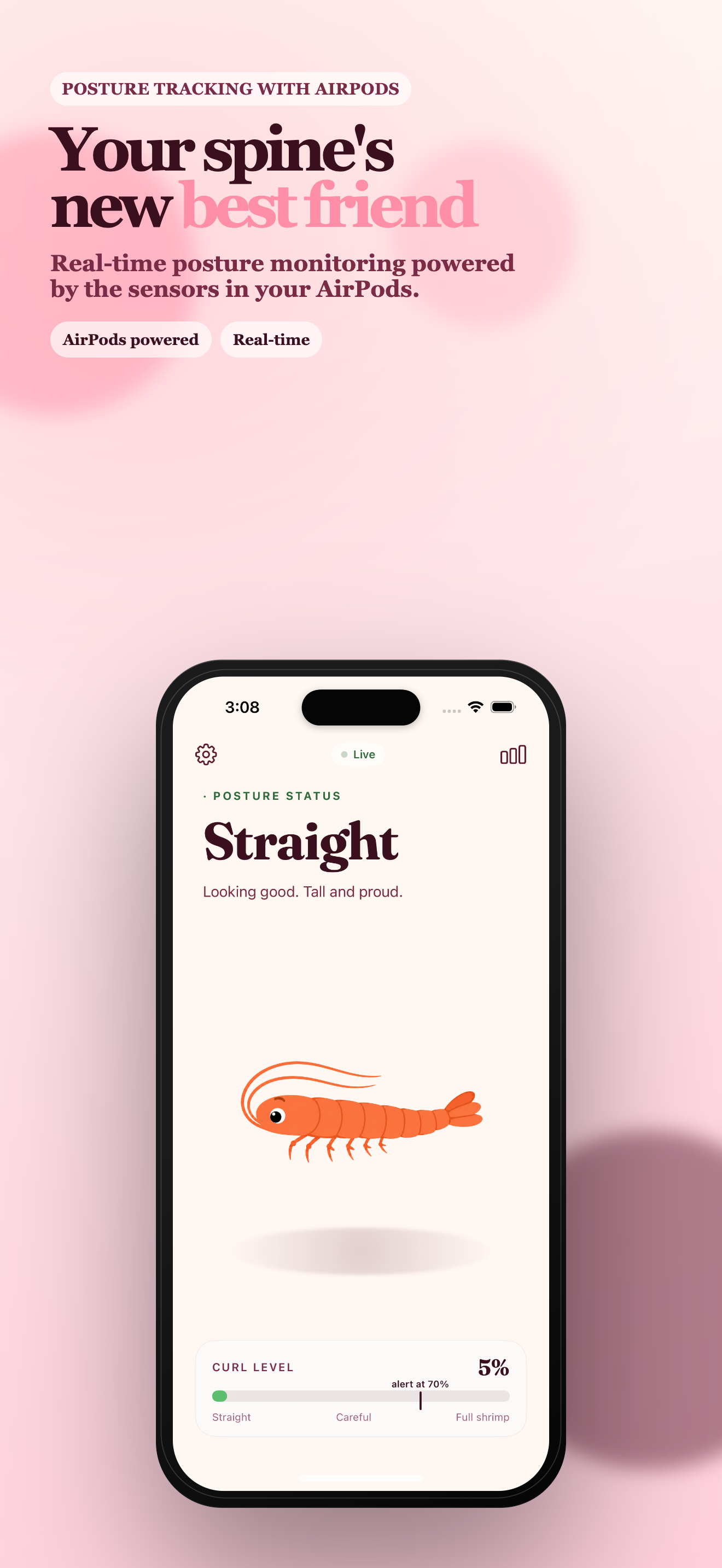 Shrimping gallery image