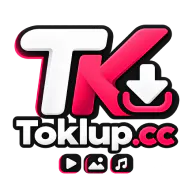 TokLup TikTok Downloader