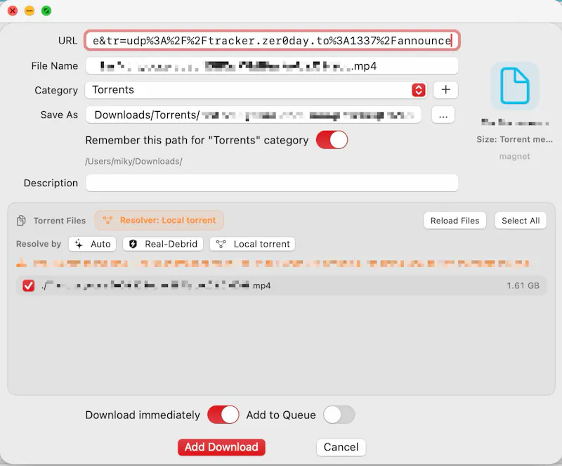 MicFlash Download Manager screenshot 4