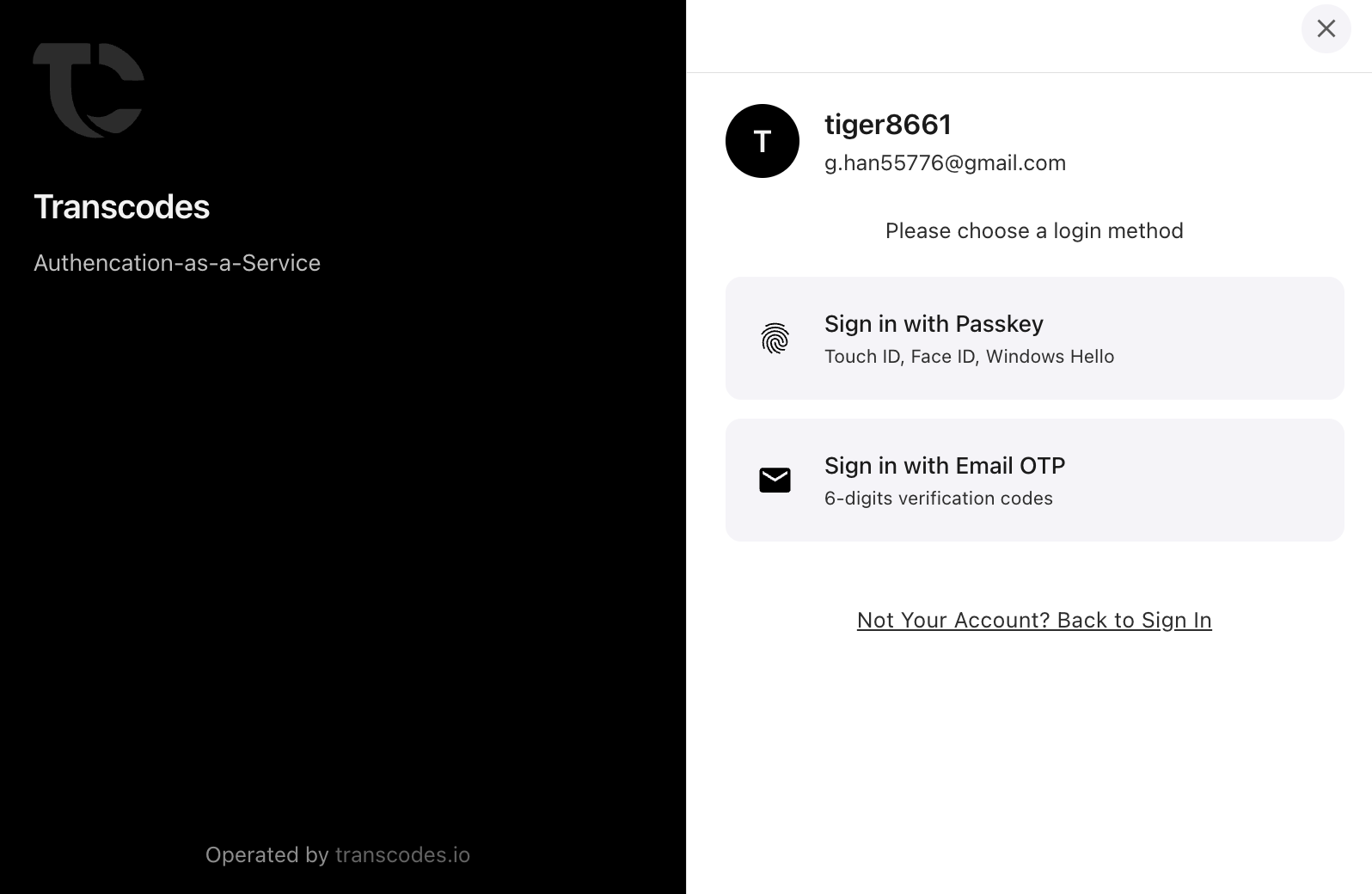 Transcodes - Screenshot 4 showing product features and functionality