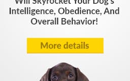 Make your dog smarter media 1