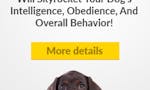 Make your dog smarter image
