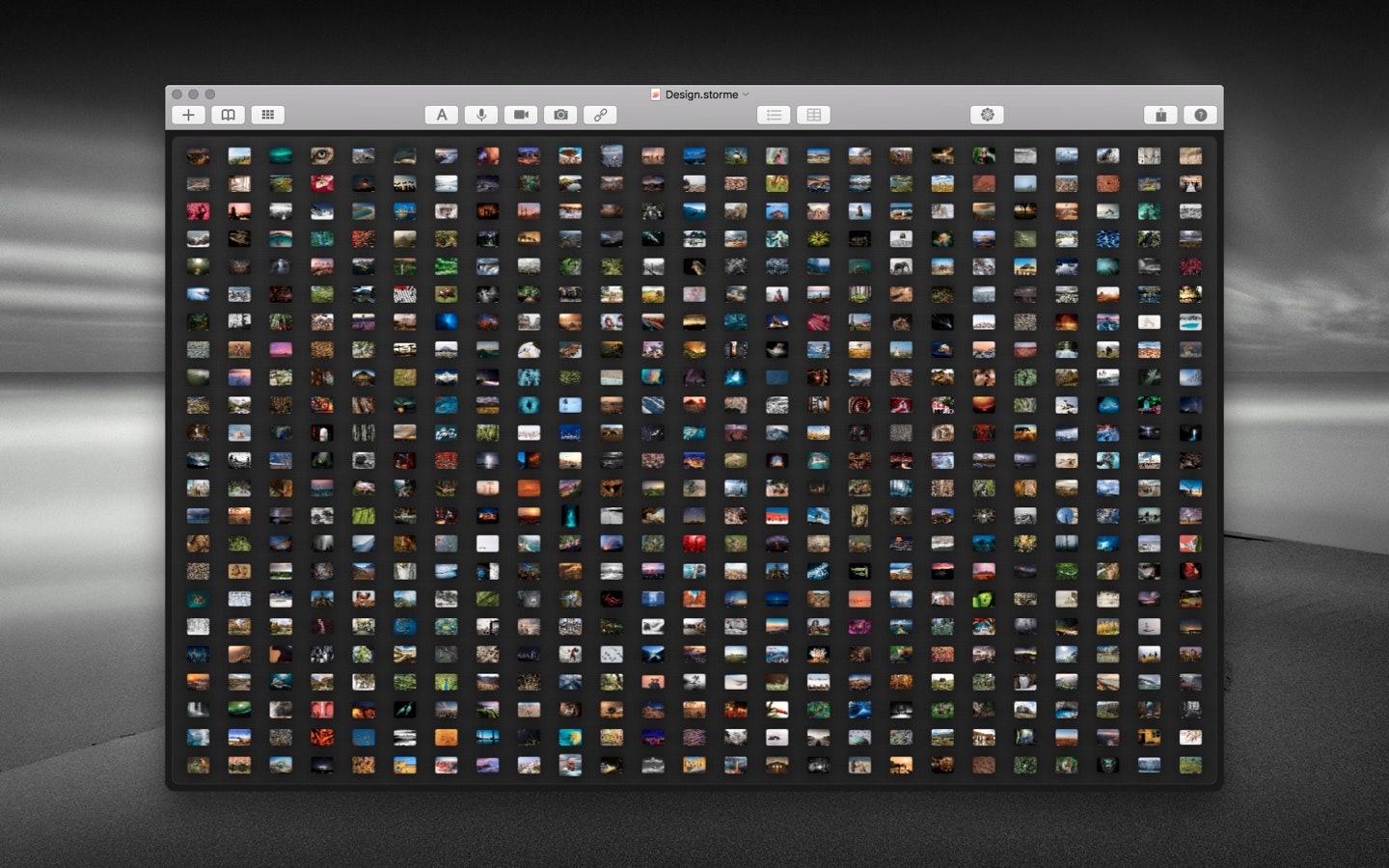 Storme gallery image