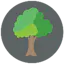 Mailtrees