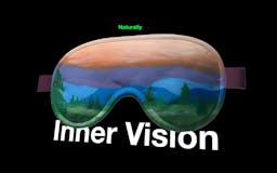 Inner Vision Pro media 2