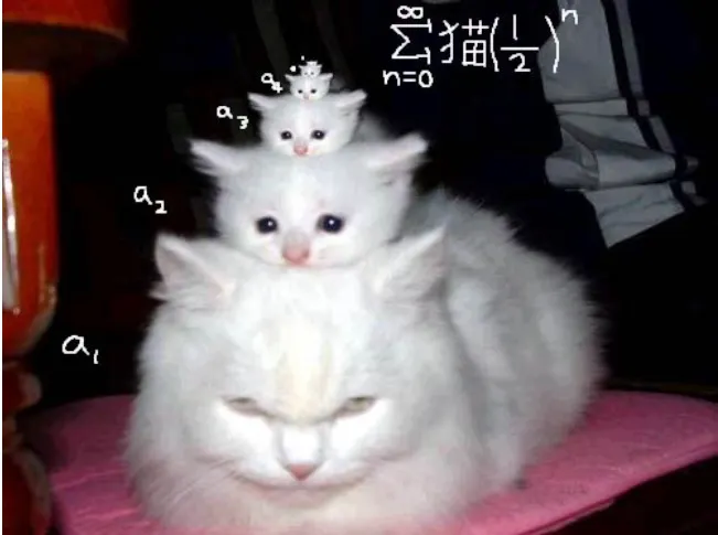 Cat Paper Collection