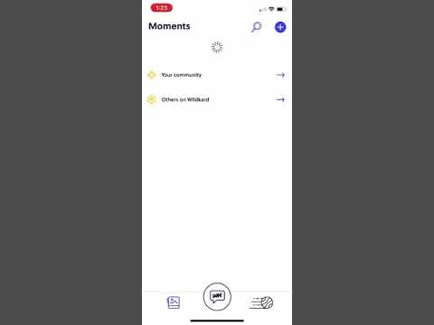 Wildkard gallery image