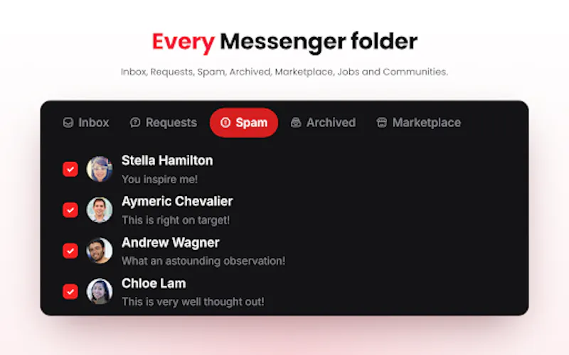 Lynx | Delete Facebook Messages screenshot 4