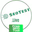SEOReporting for International Companies