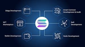 Media Pembangunan Blockchain Solana - Membina pasaran Dapp, Defi dan NFT berprestasi tinggi 1