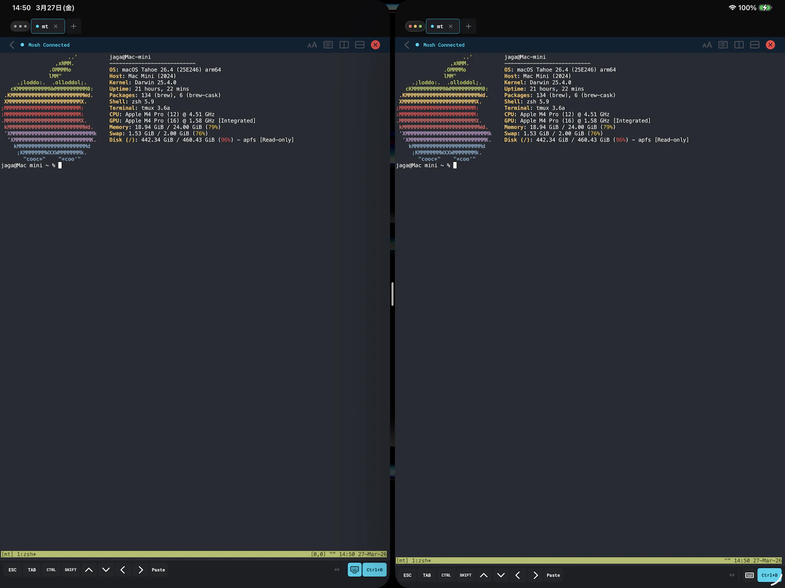 MT - Mosh Terminal screenshot 5