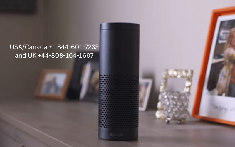 Alexa sesli komutlara yanıt vermiyor: - Alexa cevap vermiyor medya 2