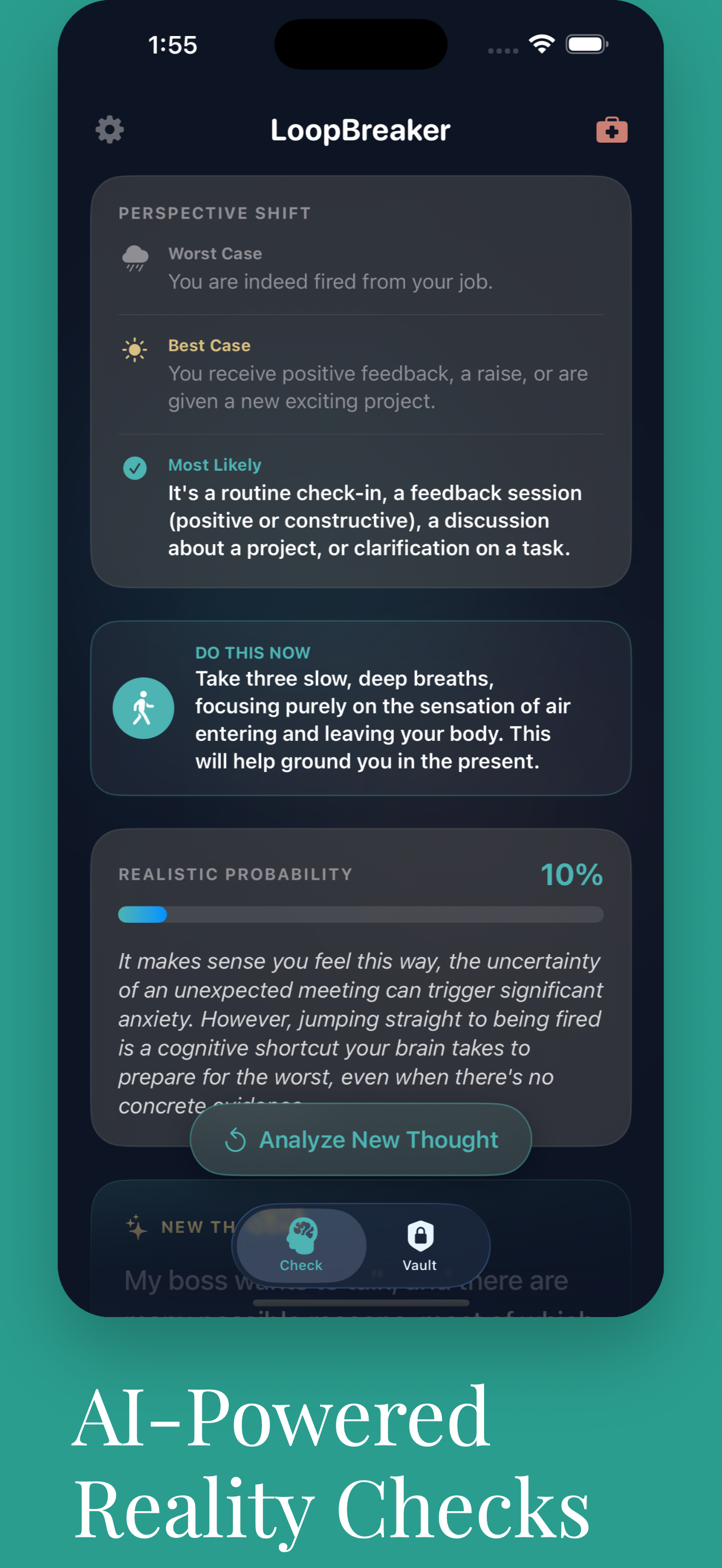 LoopBreaker - Screenshot 2 showing product features and functionality