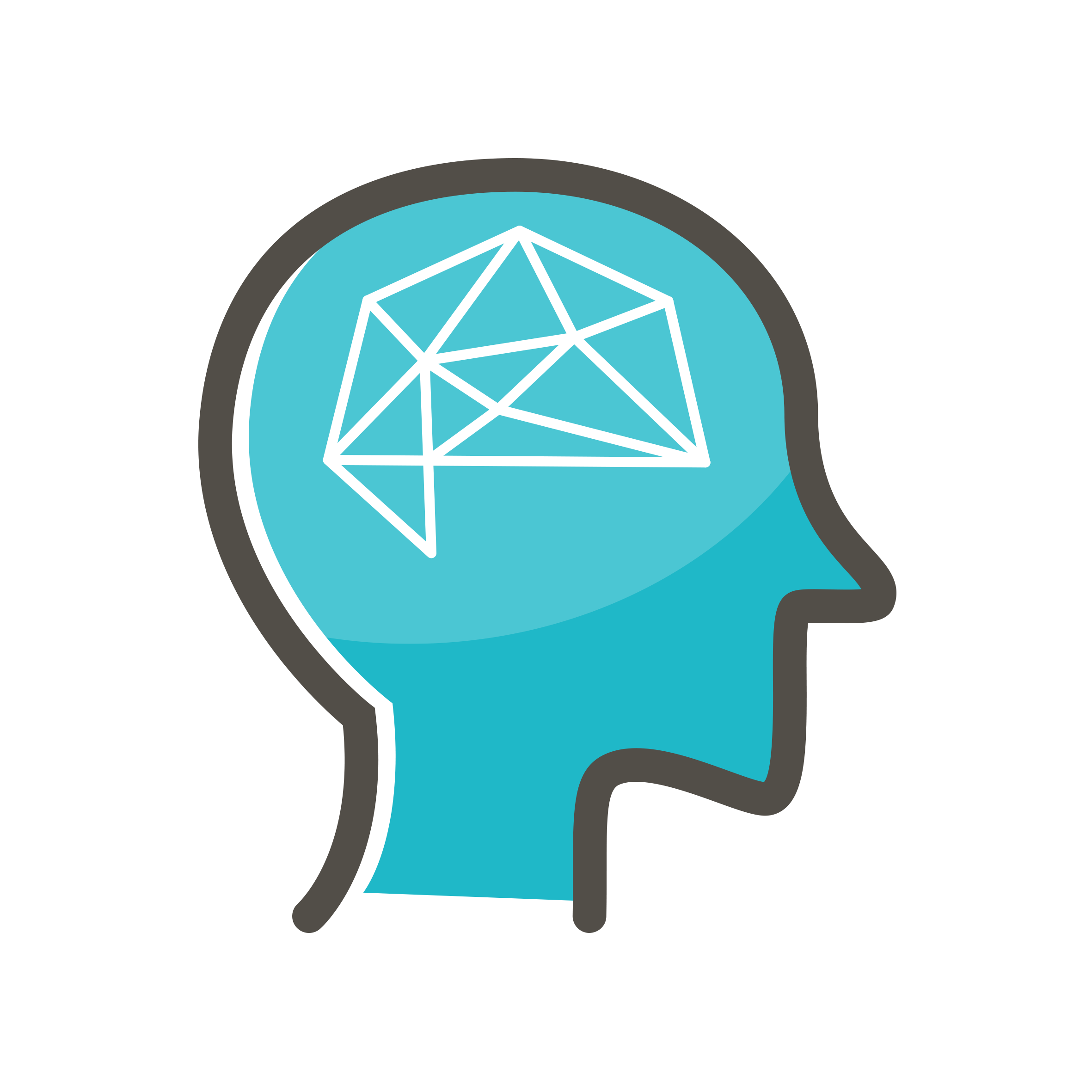Augmental learning