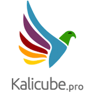 Kalicube Pro
