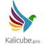 Kalicube Pro