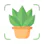 Plant Care