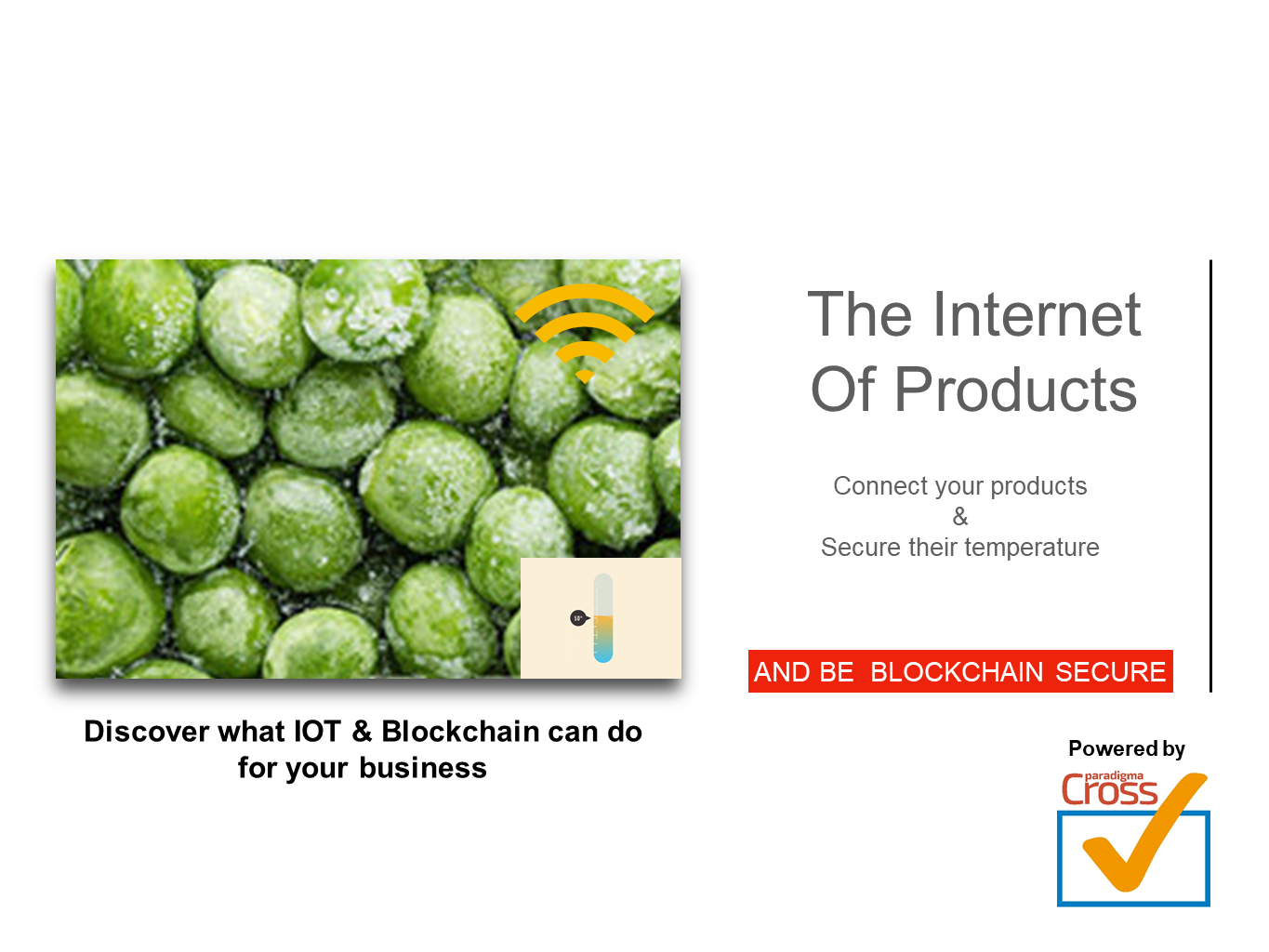 Paradigma CrossCheck gallery image