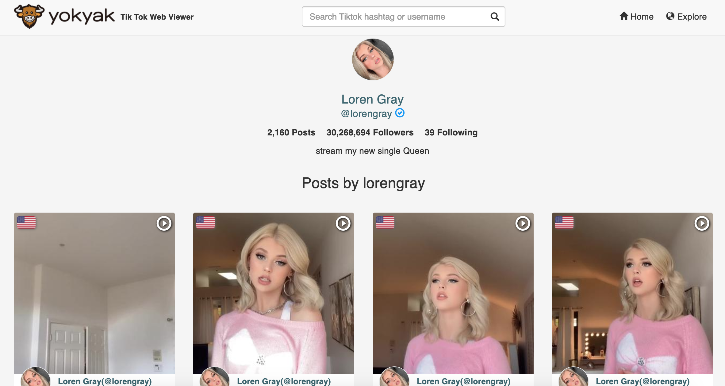 YokYak - Tiktok Web Viewer gallery image