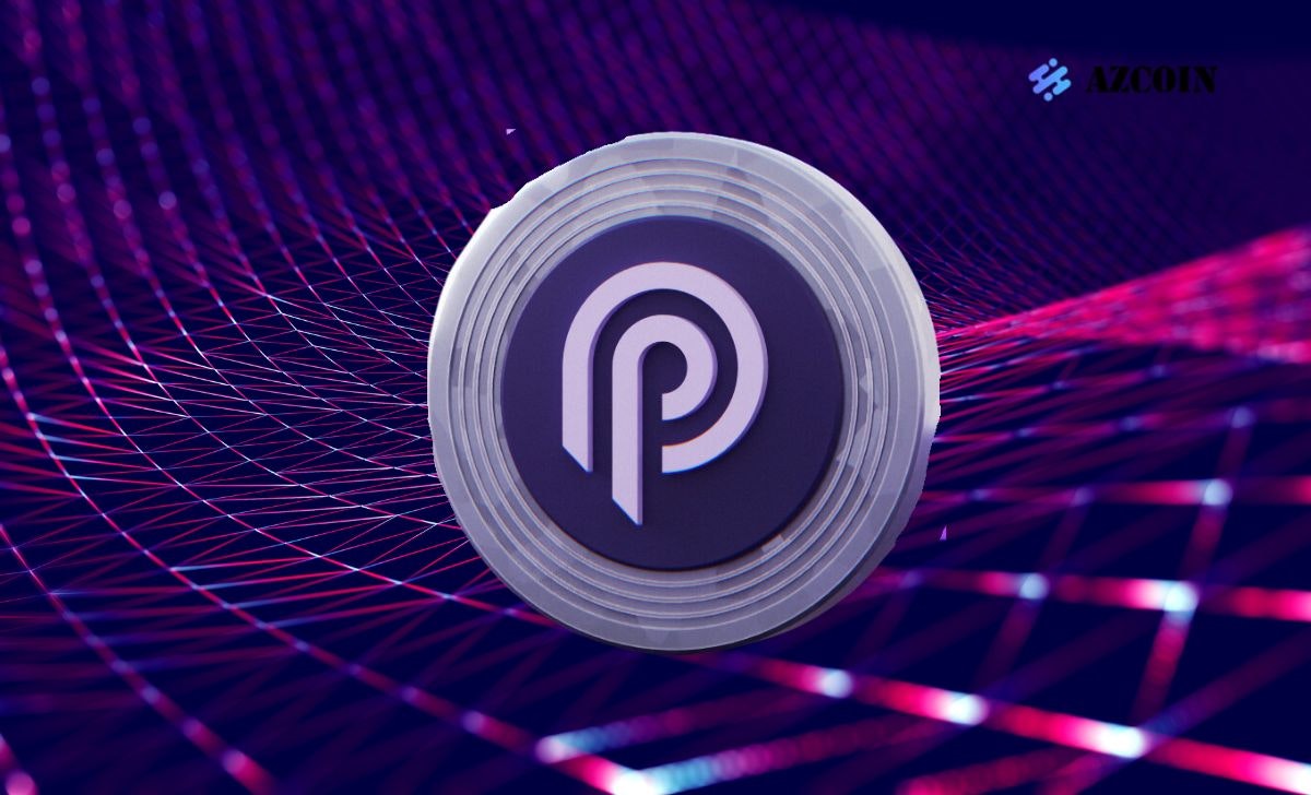 Pyth media 3