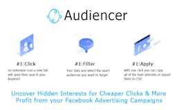 Audiencer - facebook interests Explorer media 1
