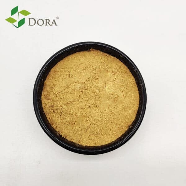 Dora Nemaxe gallery image